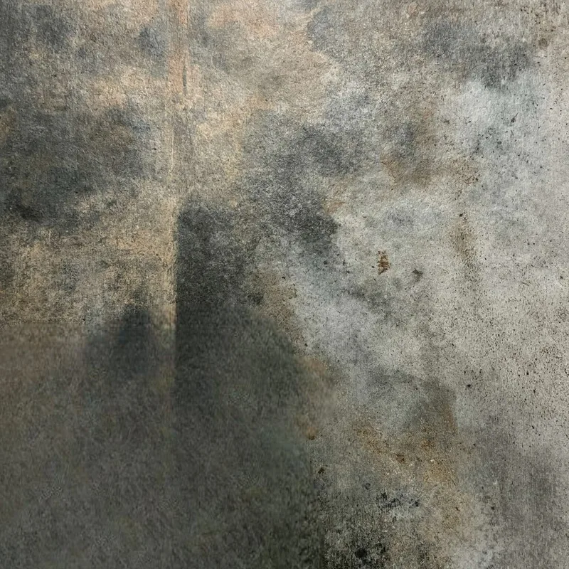 Wine Cellar Slate flooring - in stock at Floors To You OKC